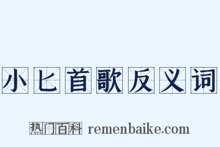 小匕首歌反义词是什么意思的图片